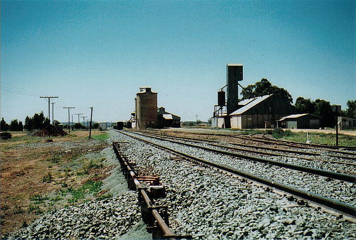 
Looking north towards Forbes.  No trace remains of the station which was
located on the left side of the line near the leaning pole.
