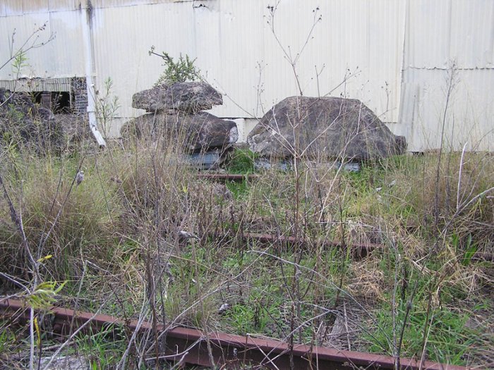 Rusty double-track rails hidden in the overgrowth just north of the buffers.