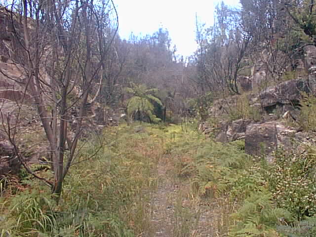The remains of the old alignment in the vicinity of Cawley.