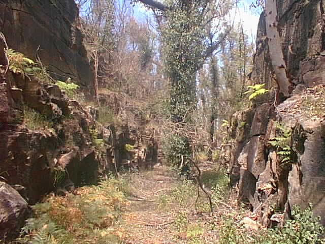 The remains of the old alignment in the vicinity of Cawley.