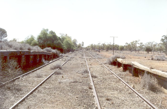 The view looking north-east, with the loading bank on the left and passenger platform on the right.