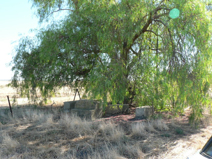 Possible remains under a nearby tree.