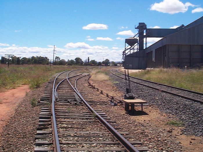 
The sidings and silo at the Cowra Wheat terminal, about 4km south of
Cowra station.
