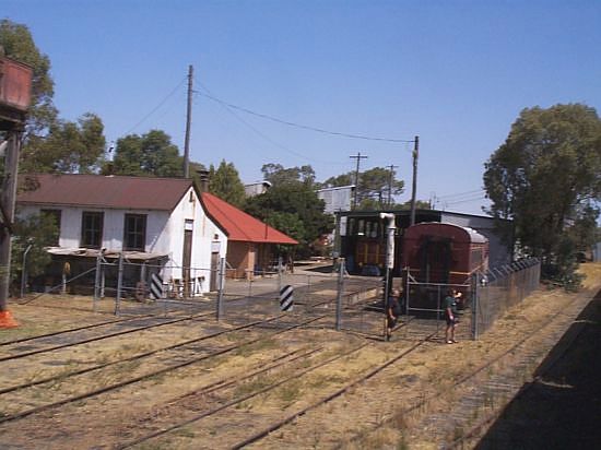 
A view of the Lachlan Valley Railway depot at Cowra. A CPH railcar is visible
in the shed.
