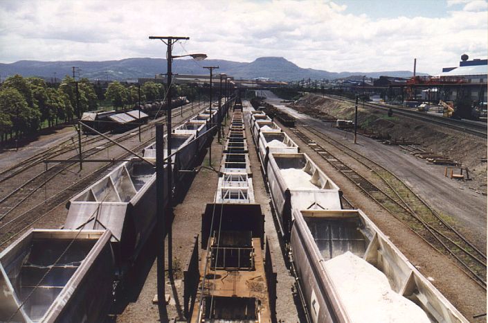
Various wagons reside in the Cringila exchange sidings.
