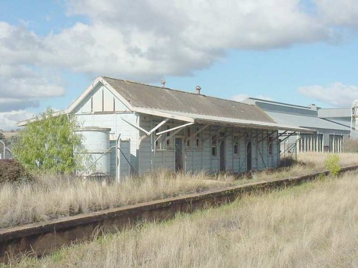 
The town side of the overgrown platform and station building.
