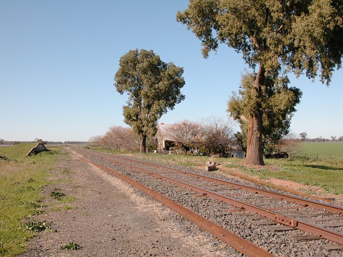 
The probable location of the station was between the two trees.

