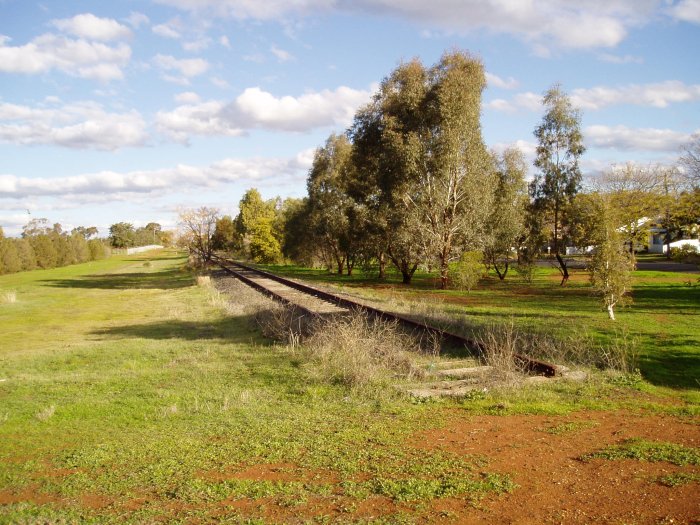 The view looking south whether the former Molong - Dubbo line crosses Wingewarra Street.