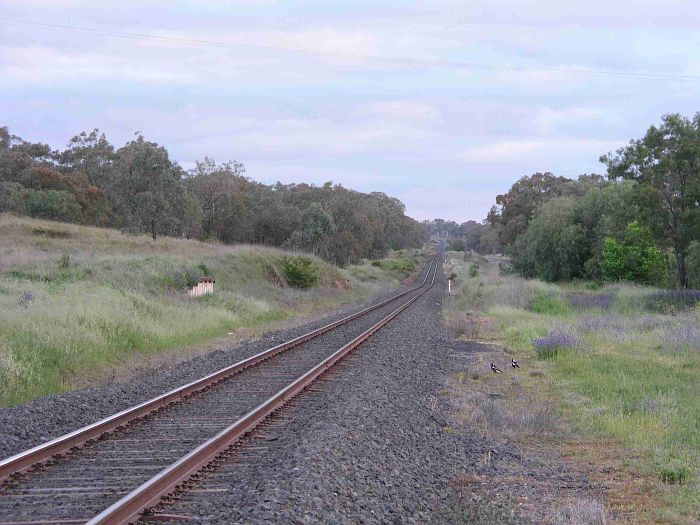 
The view looking towards Sydney.  The one-time station was located on the
right centre.  The bank on the left served the stockyards and
associated siding.
