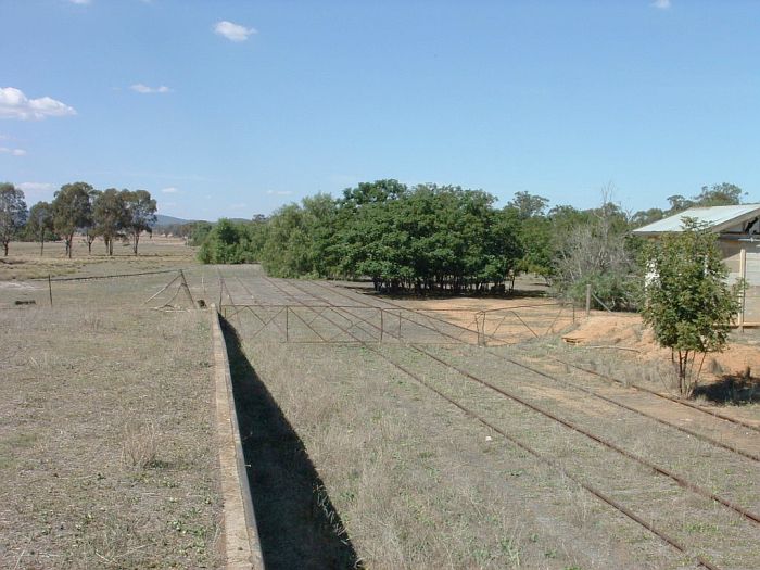 
The view from on top of the loading bank at the eastern end of the yard
looking east. The station is just visible on the right side.
