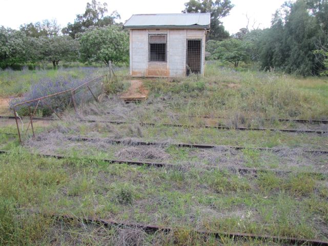The view looking across the overgrown yard to the station building.