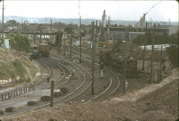 Looking north from Flemington Goods Jct Box toward Pippita. A 48 sits on a short oil tank train waiting for the "road".
