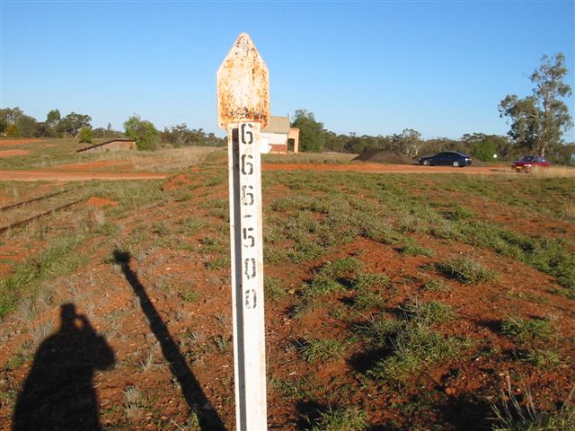 
The 666.5km post in the yard, looking towards Nyngan.
