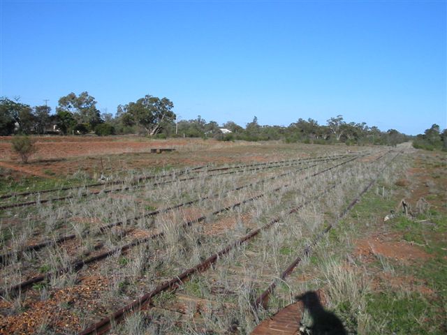 
The view of the yard, looking in the direction of Nyngan.
