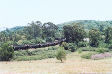 The view looking along a line of coal wagons parked on the Glenlee Colliery line. Photo taken form Mt Annan Botanical Gardens.