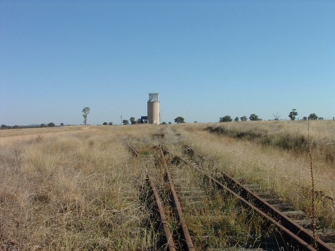 
The view at the up end of the loop siding, looking towards Canowindra.
