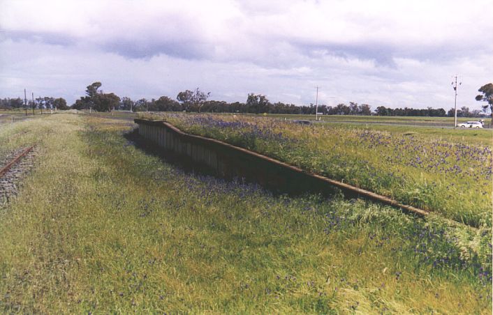 
The platform at Green Swamp Road is still present, although the track
which serviced it has been lifted.  This view is looking south.
