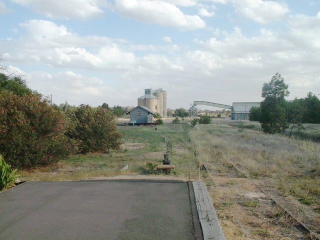 The view looking towards Koorawatha, with the now disused goods shed & grain silo.
