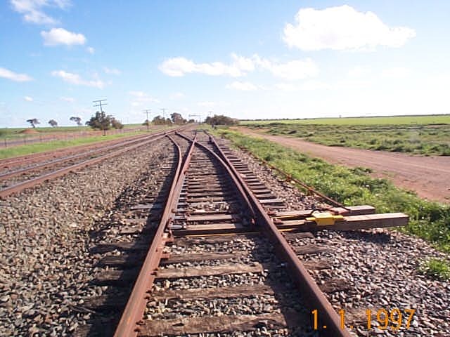 The view looking down the line towards the end of the Stock Siding. The main line is immediately to the left.