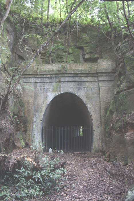 The down portal of the abandoned tunnel.