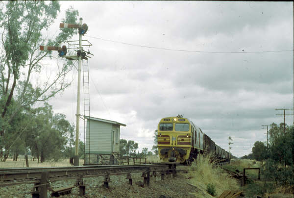 Henty Frame D sat on the up side of the line with its own small box. The lower quadrant signal on the very short pole to the left was for the branch and controlled from frame D. 42220, freshly painted, arrives from Sydney with a freight.