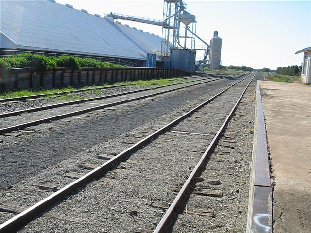 
A view of Hillston yard looking towards Roto.
