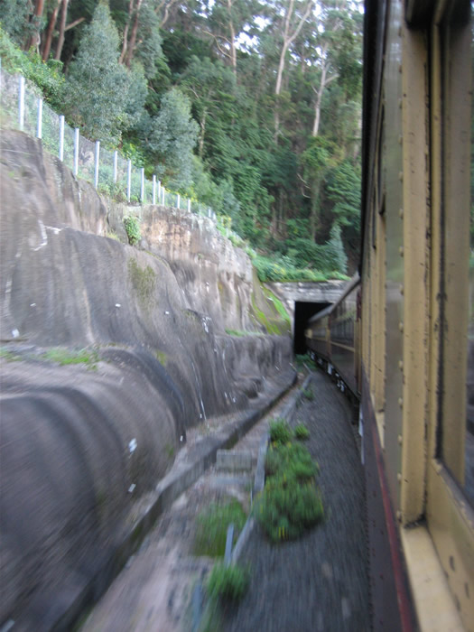 A tour train enters the northern portal heading towards Unanderra.