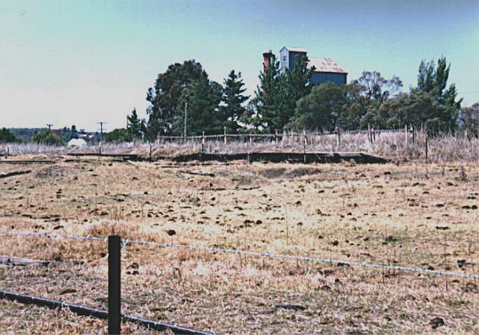 
Grazing cattle have exposed more of what little remains of the platform.
