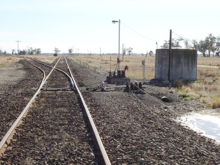 The view looking north, with the line to Balranald diverging to the left.