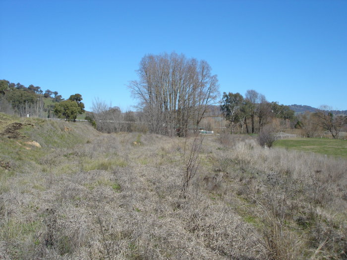 The overgrown remains of the junction just outside Gilmore.  The main line curves in from the right, with the branch to Kunama heading straight ahead. The lines pass either side of the small stand of tree in the centre.