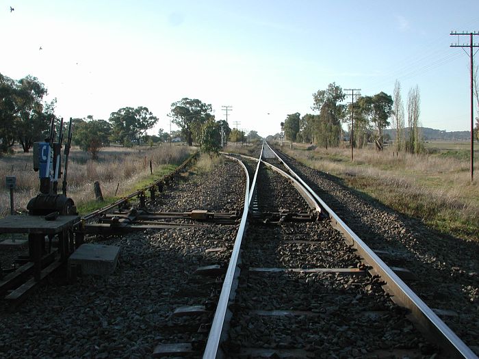 
Although the branch line to Rand is no longer used, the first section
still sees occasional traffic.  This is the view of the junction looking
north along the Main South.

