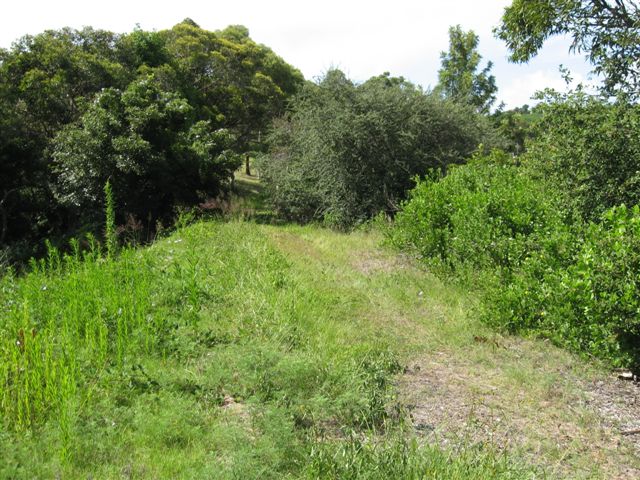 The line then heads south along an overgrown embankment.