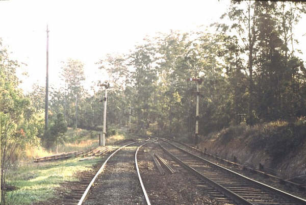 A view showing the north end of the loop and the main north coast line disappearing into the trees.
