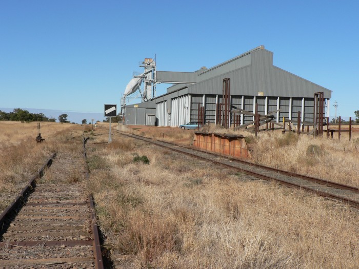 The view looking south, showing the modern grain silo and the remains of the stock platform. The former station was on the left of the tracks in the distance,