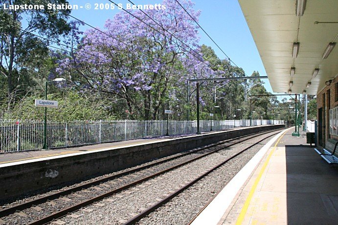 The view looking down across platform 2, with its large flowering Jacaranda tree.