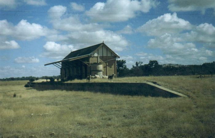 
Some 30 years after the branch was closed and the track lifted, only
sheep and goats use the station.
