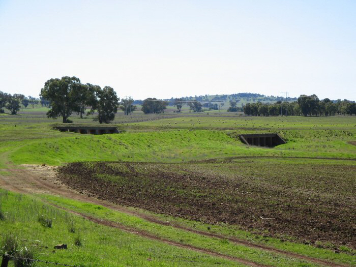 The junction of the proposed line to Gulgong, looking north. The track in the foreground curving to the right and over the near culvert is the southern leg of the triangle. The northern leg can be seen behind curving over the larger culvert.