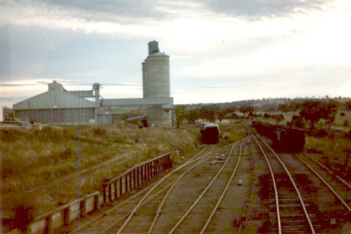 An early moring shot of Merriwa yard just just before starting the shunt.