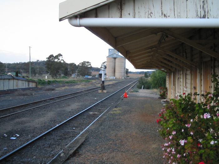 
The view looking along the platform in the direction of Binnaway.  The
line on the left is the cross-country line from Dubbo, that on the right
is from Sydney.
