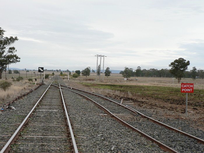 The view looking north towards Narromine.