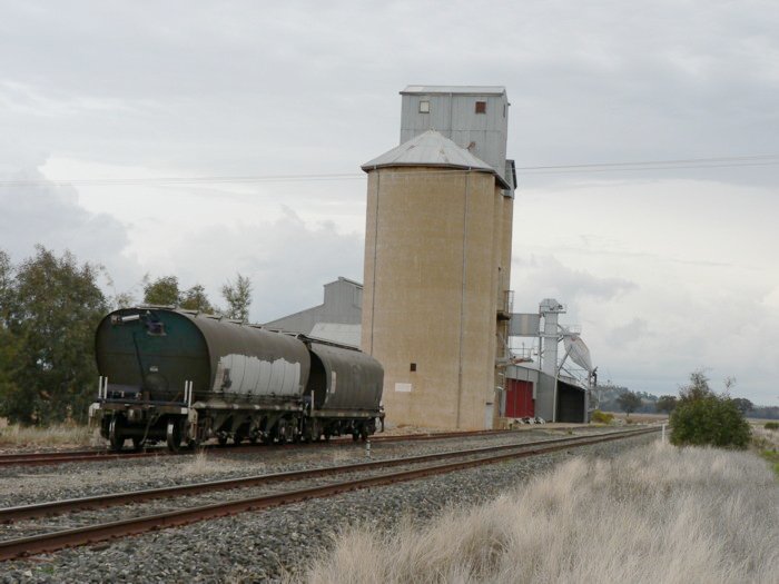 The view looking across to the silos. The former platform was located on the right, beyond the bush.
