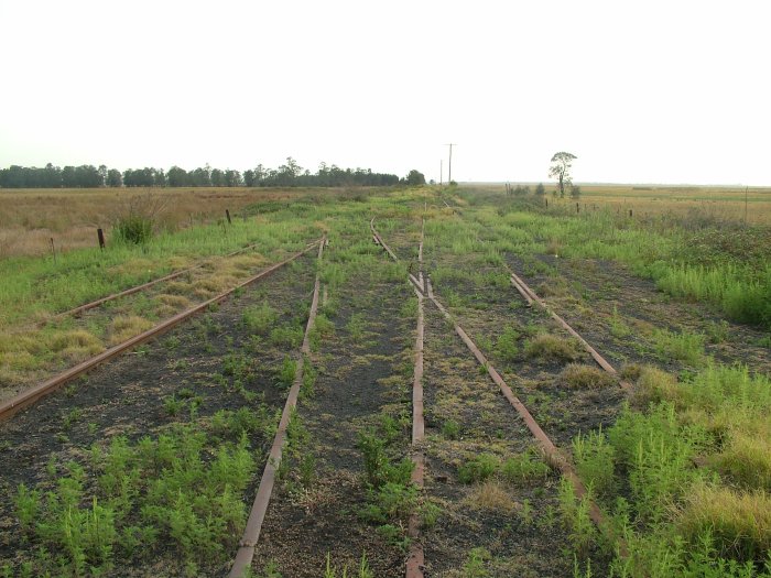 The remains of the tracks at Minmi Junction.
