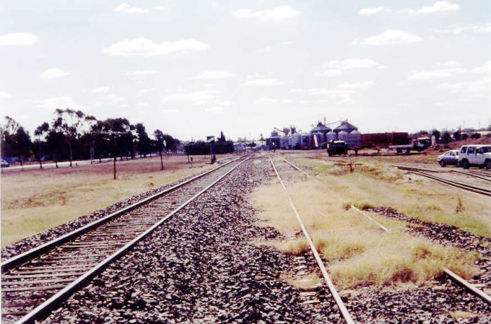 A view of the vegetable oil siding looking towards Moree.