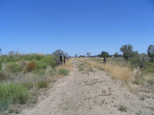 
The remains of the loop line at Mungindi terminus.  The old station building
lies in the background.
