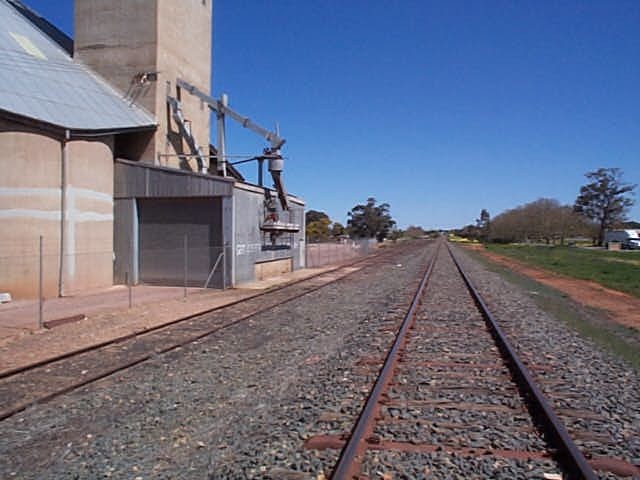 The view looking west towards Narrandera from the wheat silo.