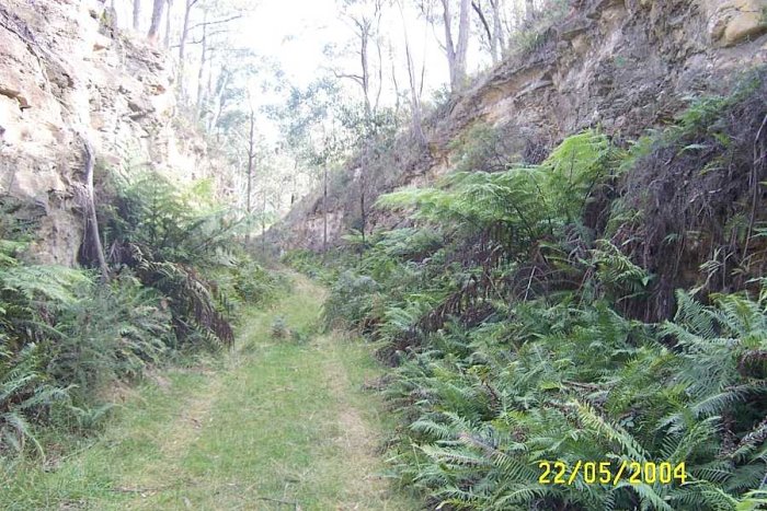A cutting where former Newnes branch once passed.