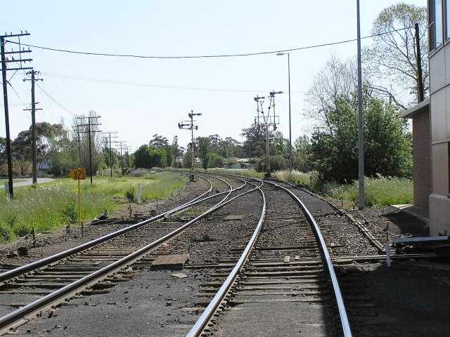 The view looking west from the Newell Highway level crossing, at western end of station.