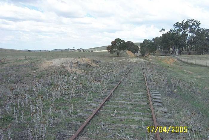 
The view looking up the line.  The siding was located on the left; only the
remains of the loading bank are still present.
