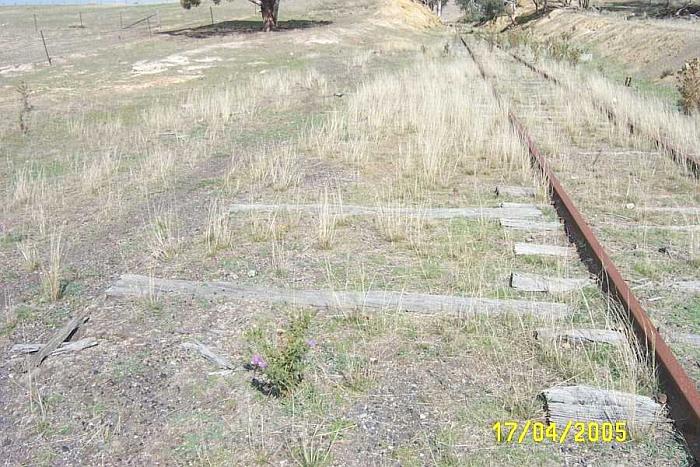 
A close-up of some remaining sleepers at the down end of the siding.
