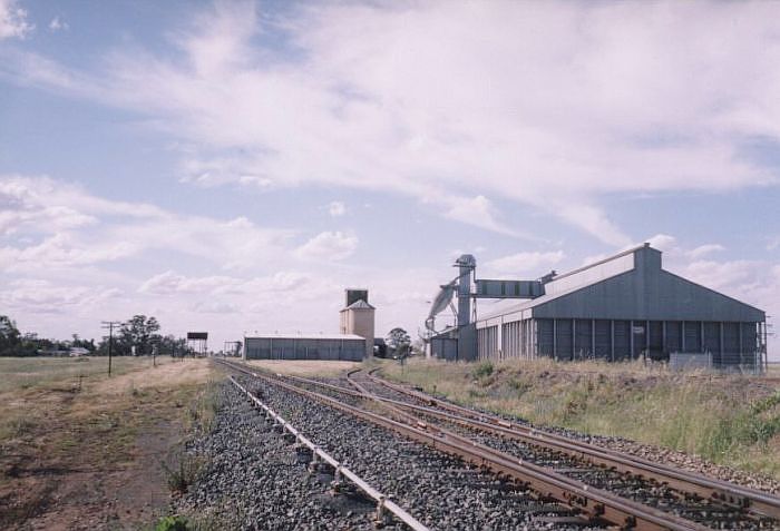 
The view looking north adjacent to the A frame, showing the 1927 water tank,
silos and elevated dead-end siding.
Three different types of wheat silo are present: the "D" type (1967), capacity 14,950 tonnes; concrete silo (1928-34),  2,450 tonne capacity;
1959 timber framed bulkhead capacity 2,700 tonnes.
